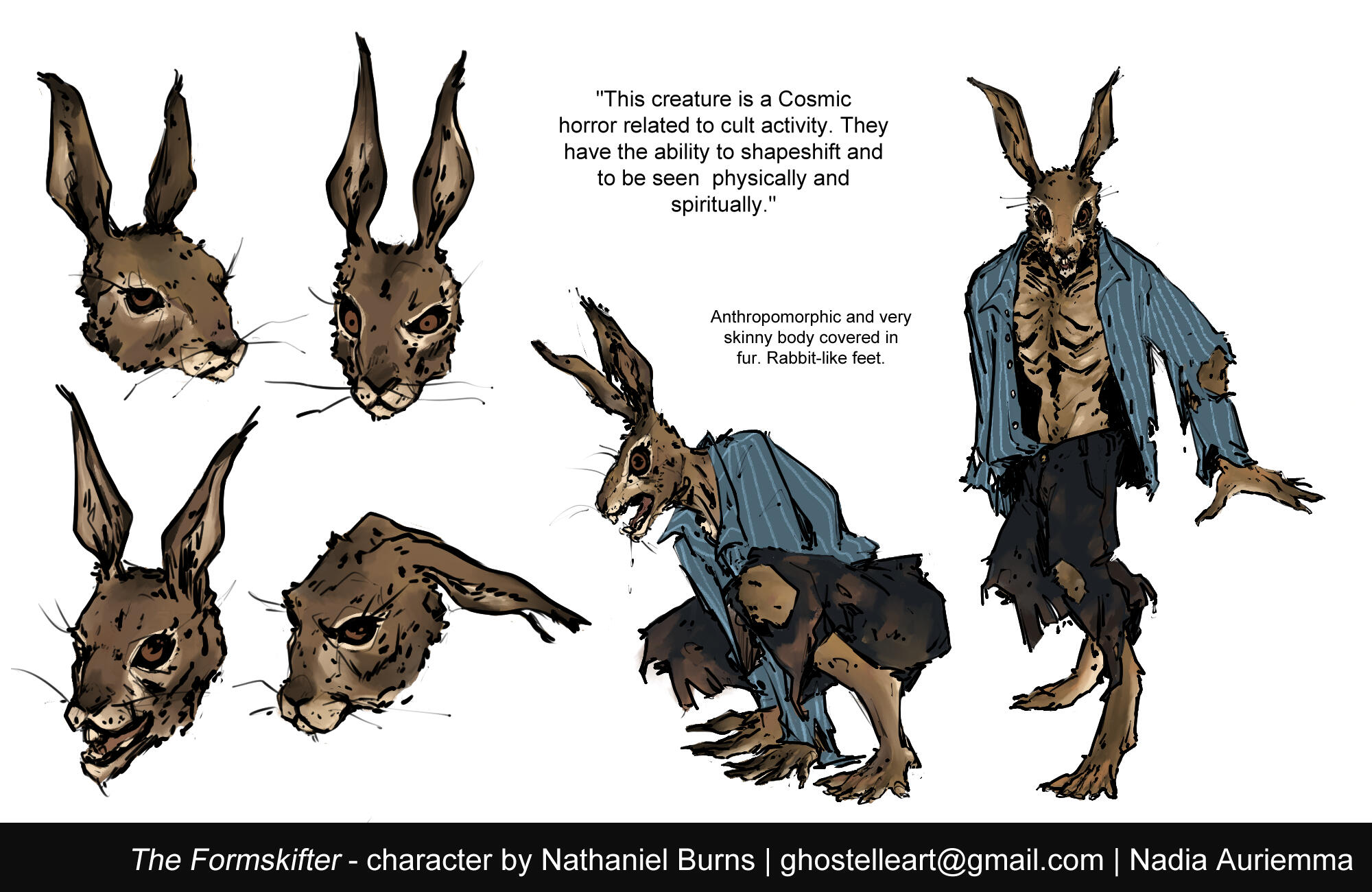 THE FORMSKIFTER [commission]