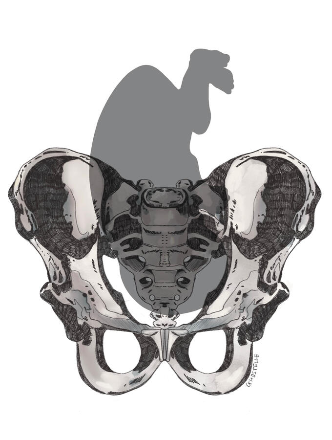 no. 1 (cover)