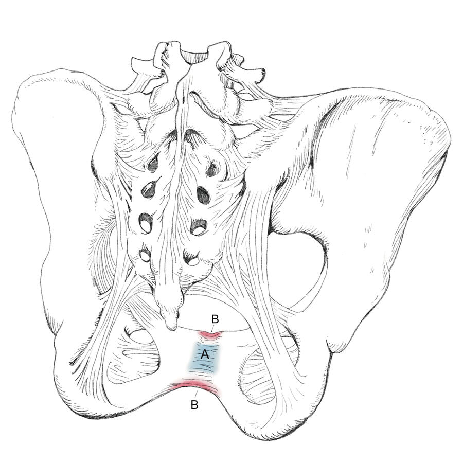 No. 2
